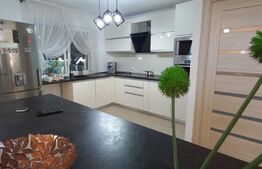 Oportunitate! Vila 259mp, mobilata lux, garaj, curte, in Unirea