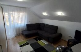 Oportunitate! Vila 259mp, mobilata lux, garaj, curte, in Unirea