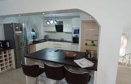 Oportunitate! Vila 259mp, mobilata lux, garaj, curte, in Unirea