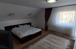 Oportunitate! Vila 259mp, mobilata lux, garaj, curte, in Unirea