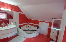 Oportunitate! Vila 259mp, mobilata lux, garaj, curte, in Unirea