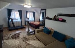 Oportunitate! Vila 259mp, mobilata lux, garaj, curte, in Unirea