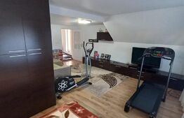 Oportunitate! Vila 259mp, mobilata lux, garaj, curte, in Unirea