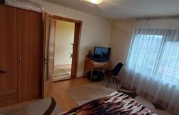 Vila 311 mp, teren 2200mp, mobilata, D+P+M, Viisoara