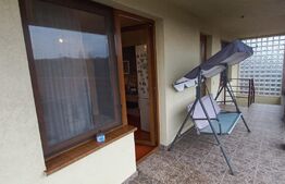 Vila 311 mp, teren 2200mp, mobilata, D+P+M, Viisoara