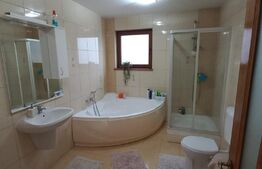 Vila 311 mp, teren 2200mp, mobilata, D+P+M, Viisoara