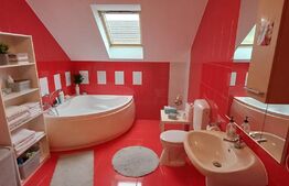 Vila 311 mp, teren 2200mp, mobilata, D+P+M, Viisoara