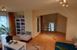 Vila 311 mp, teren 2200mp, mobilata, D+P+M, Viisoara