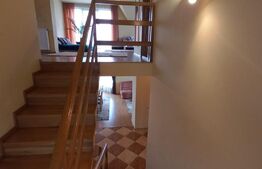 Vila 311 mp, teren 2200mp, mobilata, D+P+M, Viisoara