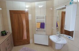 Vila 311 mp, teren 2200mp, mobilata, D+P+M, Viisoara