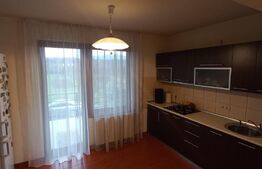 Vila 311 mp, teren 2200mp, mobilata, D+P+M, Viisoara