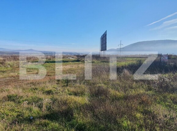 Teren de vânzare Viișoara - 102579TV | BLITZ Bistriţa | Poza4