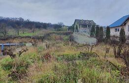 Teren intravilan, 11 ari, centura Bistrita