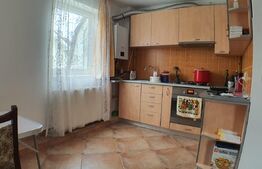 Garsoniera 32mp, langa pasarela, zona Sanovil