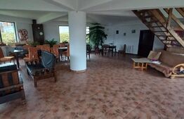 Casa de vacanta, zona linistita ,10 Camere, Colibita