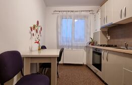 Garsoniera 37 mp in zona linsitita cu vedere la rau