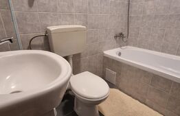 Garsoniera 37 mp in zona linsitita cu vedere la rau