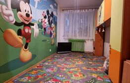 Apartament de 3 camere la parter, ultracentral