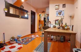 Apartament de 3 camere la parter, ultracentral