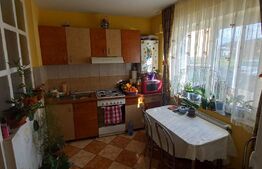 Apartament 2 camere ,decomandat,zona Han (se poate folosi precum spatiu comercial)
