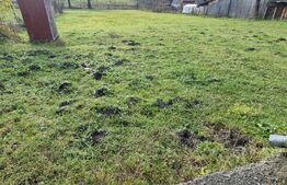 Casa luminoasa, de 90 mp, in zona rurala