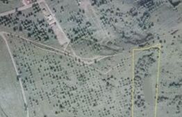 Teren extravilan ,9200mp,Unirea