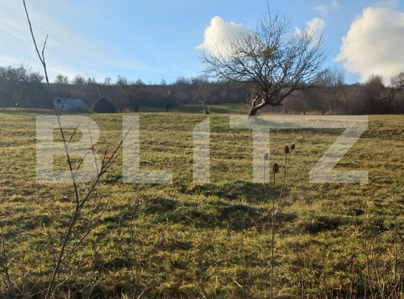 Teren de vânzare Unirea - 103121TV | BLITZ Bistriţa | Poza2