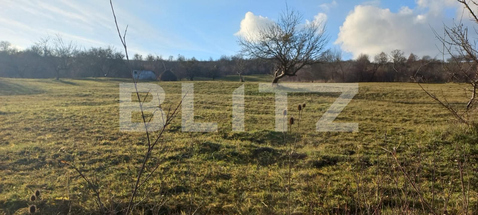 Teren de vânzare Unirea - 103121TV | BLITZ Bistriţa | Poza2