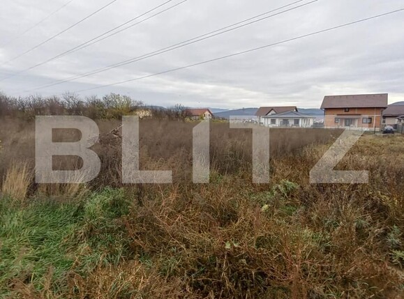 Teren de vânzare Industrială - 103131TV | BLITZ Bistriţa | Poza2