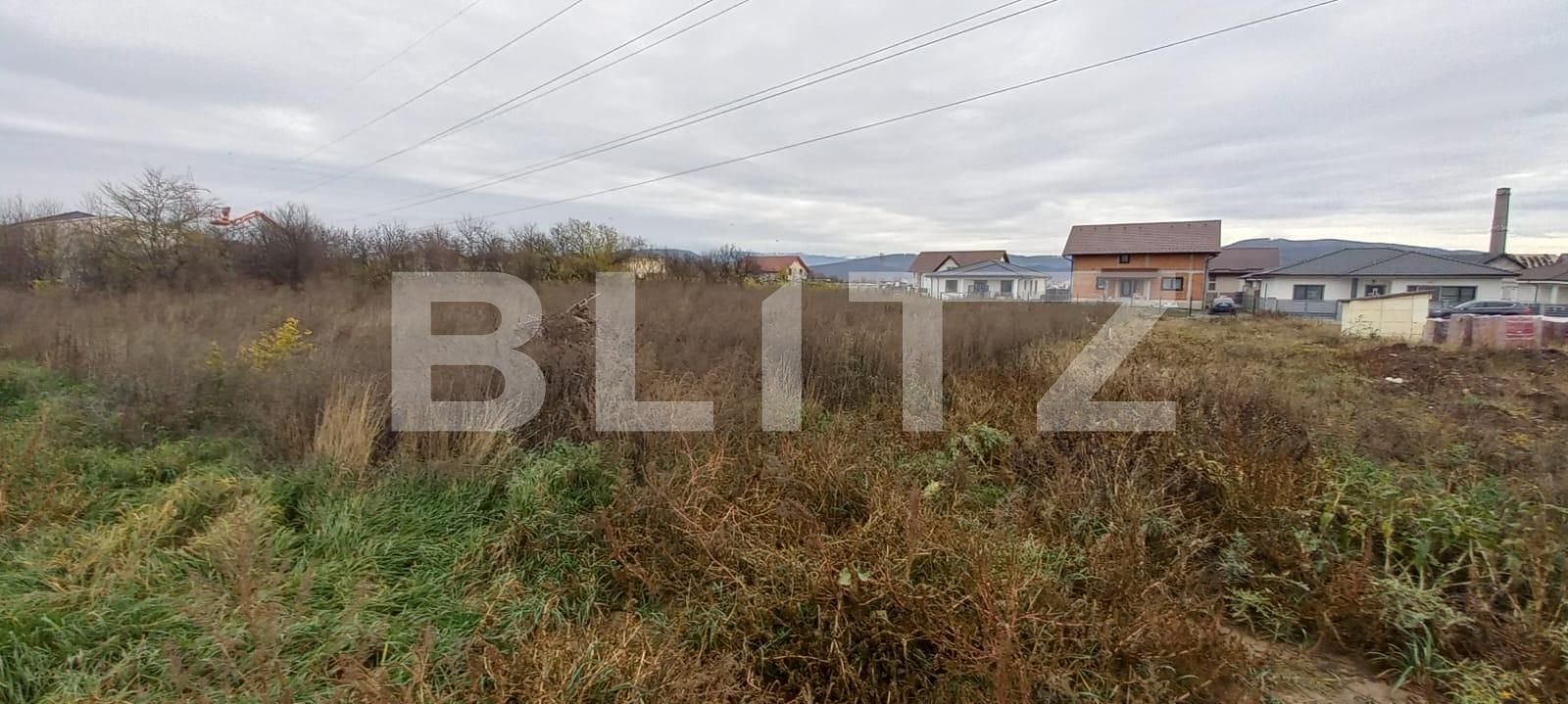 Teren de vânzare Industrială - 103131TV | BLITZ Bistriţa | Poza2