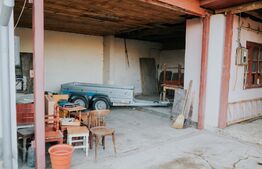 Casa de vanzare 260mp utili, 17 ari teren si 160mp anexe! 