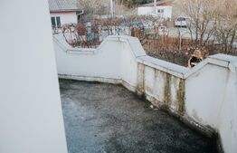 Casa de vanzare 260mp utili, 17 ari teren si 160mp anexe! 