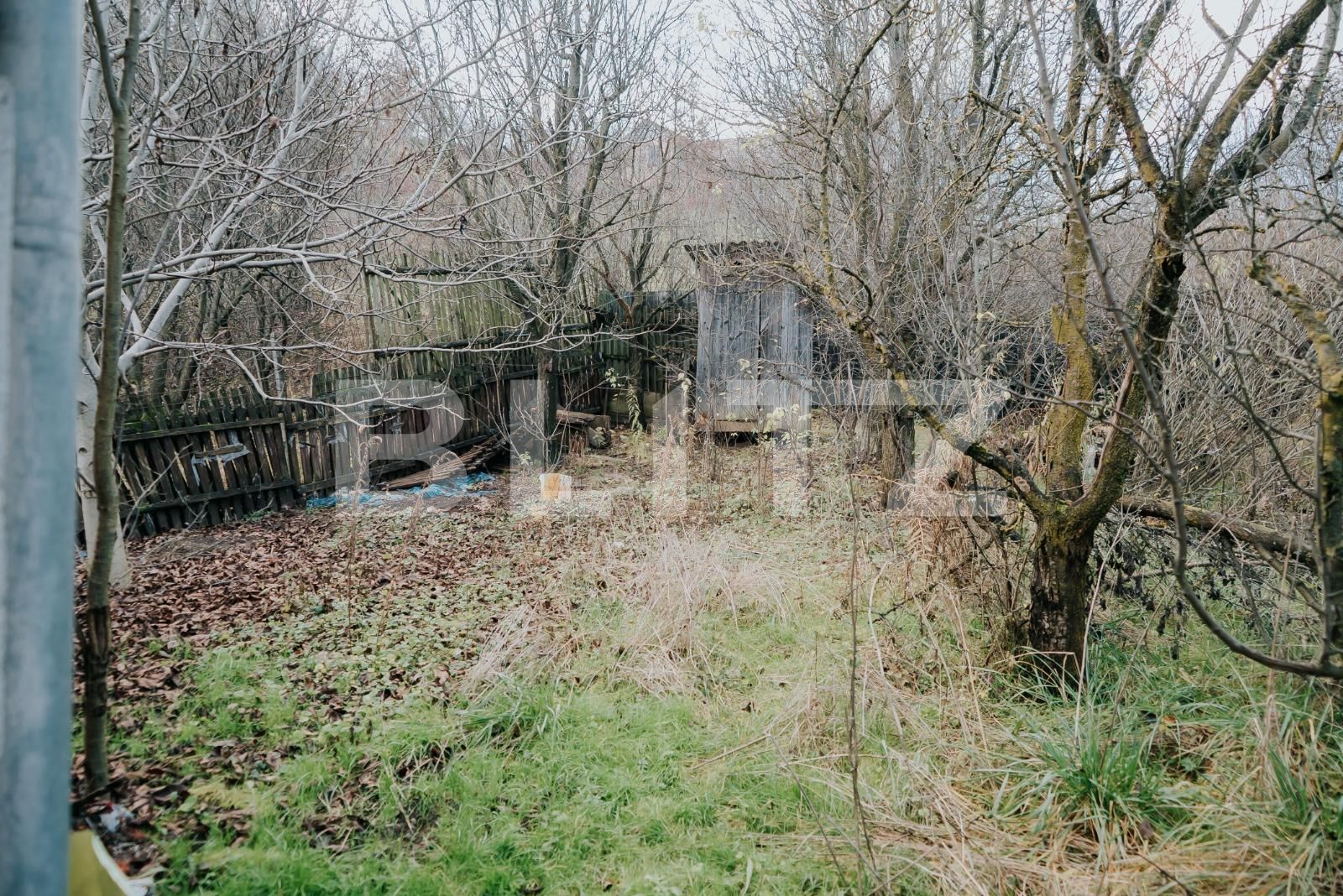 Casa de vânzare 5 camere Viișoara - 103440CV | BLITZ Bistriţa | Poza15