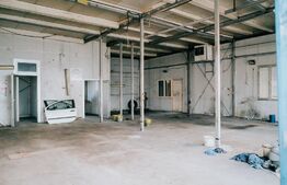 Exclusivitate! Spatiu comercial 700 mp, teren 17 ari, Viisoara 