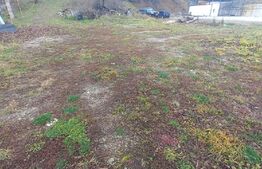 Teren intravilan 6800mp ,zona Centura