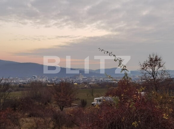 Casa de vânzare 3 camere Cetății - 103722CV | BLITZ Bistriţa | Poza18