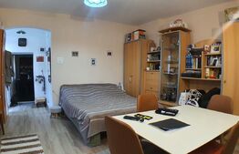 Apartament de 2 camere, 50mp, Ultracentral, la Curte!