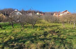 Teren 19 ari, intravilan, zona de centura Bistrita! 