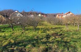 Teren 19 ari, intravilan, zona de centura Bistrita! 