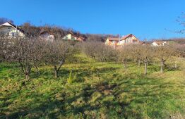 Teren 19 ari, intravilan, zona de centura Bistrita! 