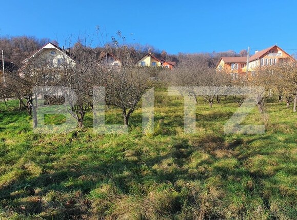 Teren de vânzare Centura - 103835TV | BLITZ Bistriţa | Poza4