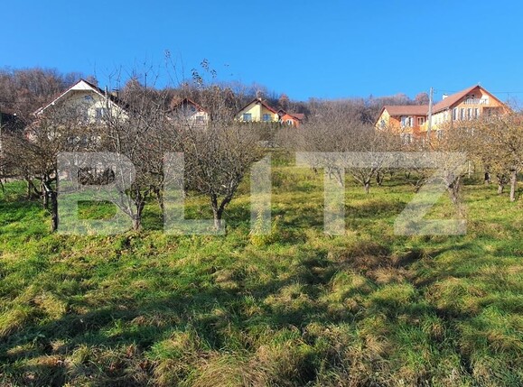 Teren de vânzare Centura - 103835TV | BLITZ Bistriţa | Poza2