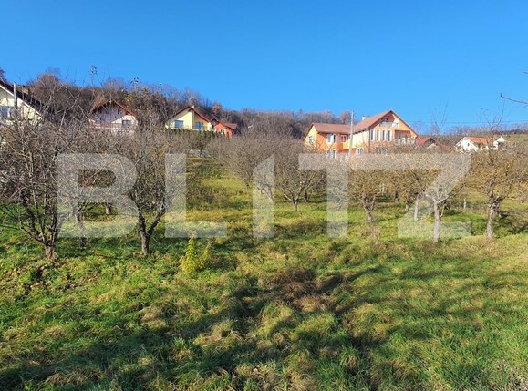 Teren de vânzare Centura - 103835TV | BLITZ Bistriţa | Poza3