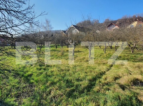 Teren de vânzare Centura - 103835TV | BLITZ Bistriţa | Poza1