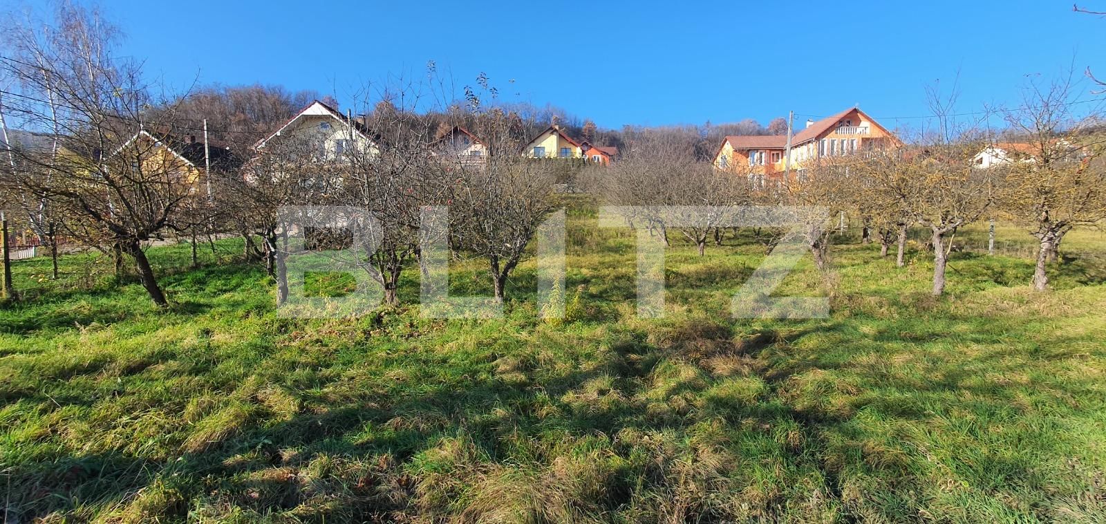 Teren de vânzare Centura - 103835TV | BLITZ Bistriţa | Poza4