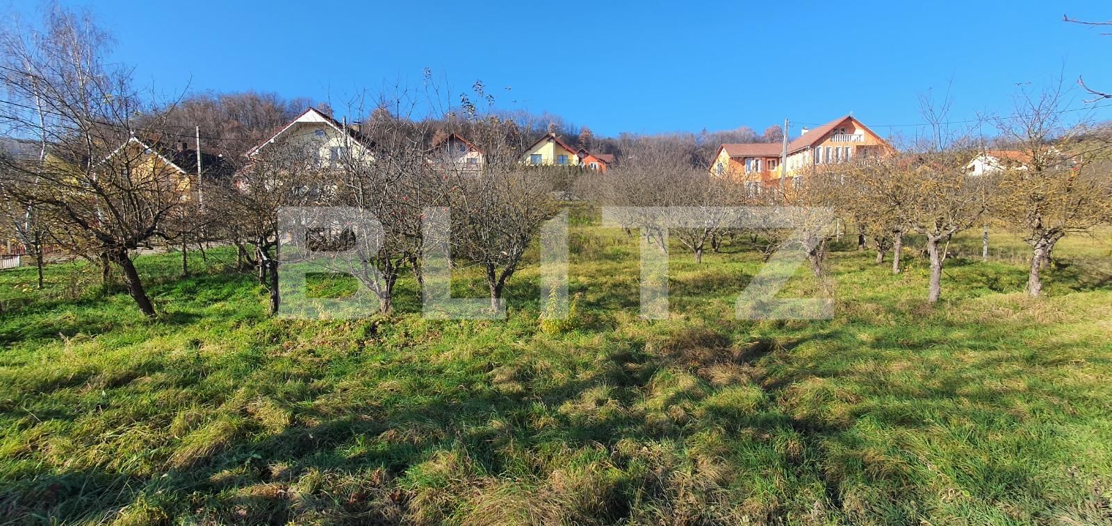 Teren de vânzare Centura - 103835TV | BLITZ Bistriţa | Poza2