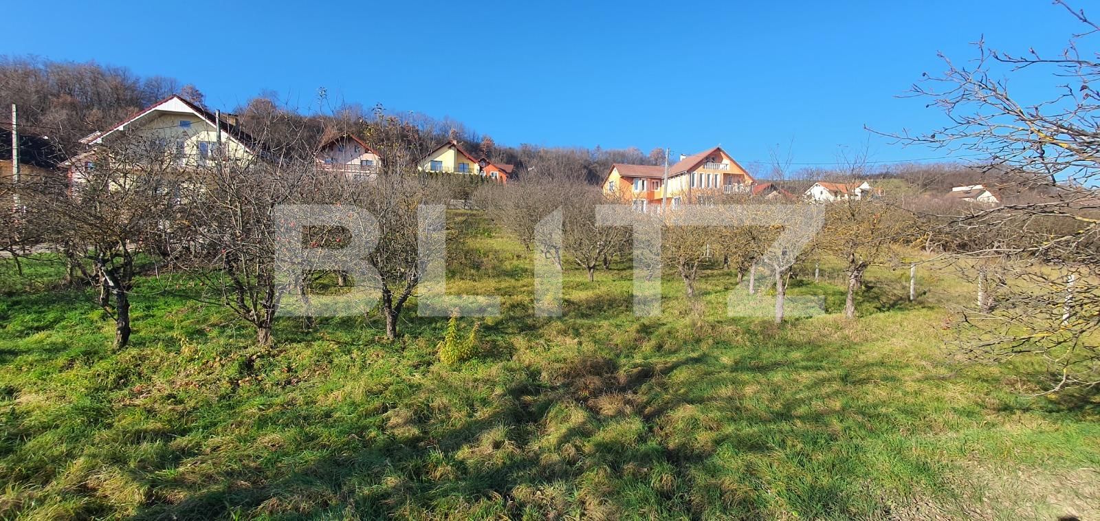 Teren de vânzare Centura - 103835TV | BLITZ Bistriţa | Poza3