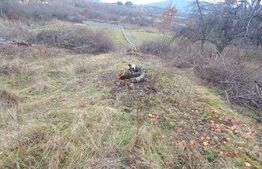 BLITZ ,vinde teren intravilan, 1000mp,Valea Rusului