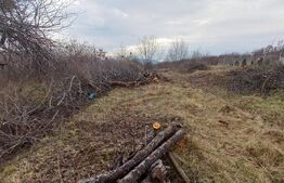 BLITZ ,vinde teren intravilan, 1000mp,Valea Rusului