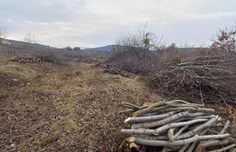 BLITZ ,vinde teren intravilan, 1000mp,Valea Rusului